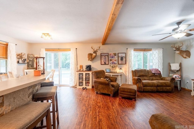 2838 Mountain View Rd, Drasco, AR 72530 - living room featuring wood finished floors, a ceiling fan, and beam ceiling