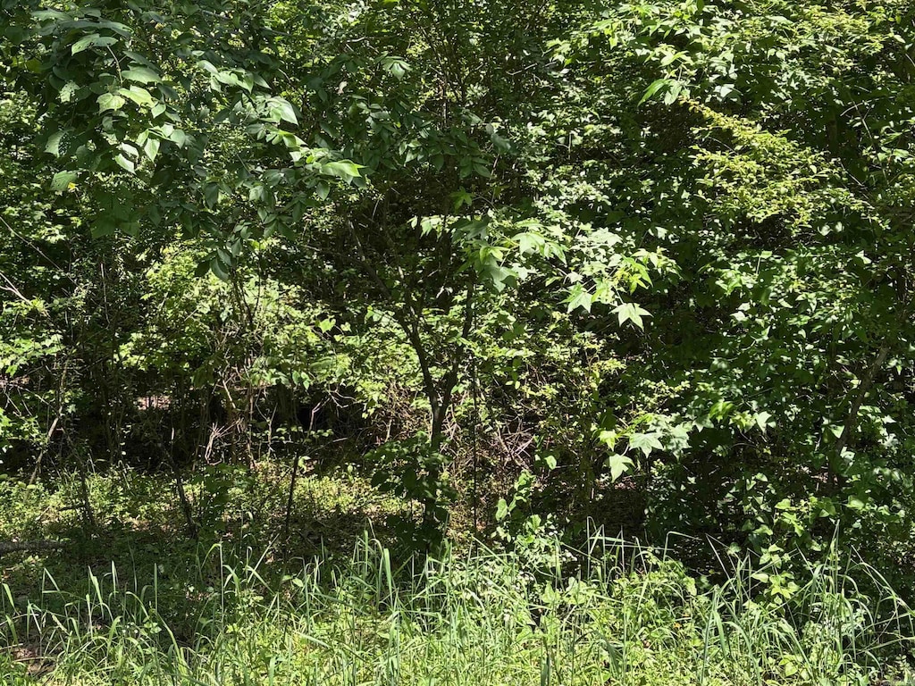 9999 Erving Ridge Loop, Cabot, AR 72023