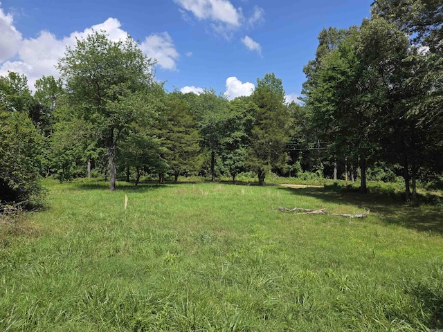 499 Polk Rd Unit 125, Mena, AR 71953 - view of yard featuring a view of trees