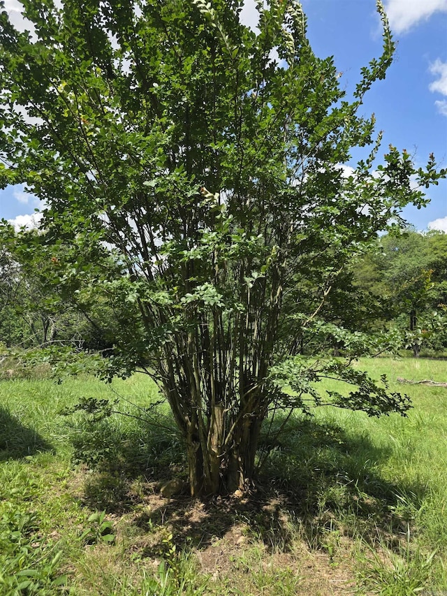 499 Polk Rd Unit 125, Mena, AR 71953 - view of nature