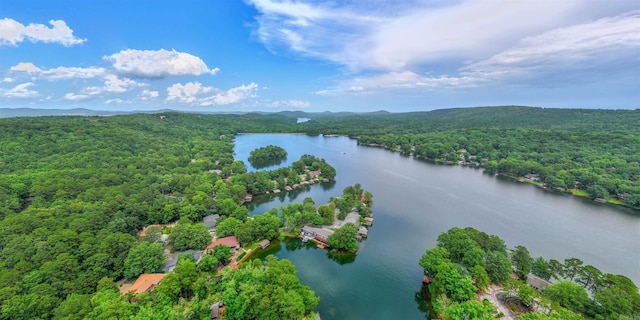 5 Torre Del Mar Way, Hot Springs Village, AR 71909 - bird's eye view of a forest and a nearby body of water