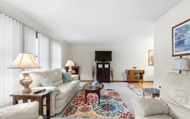 5 Torre Del Mar Way, Hot Springs Village, AR 71909 - living area featuring baseboards and light carpet