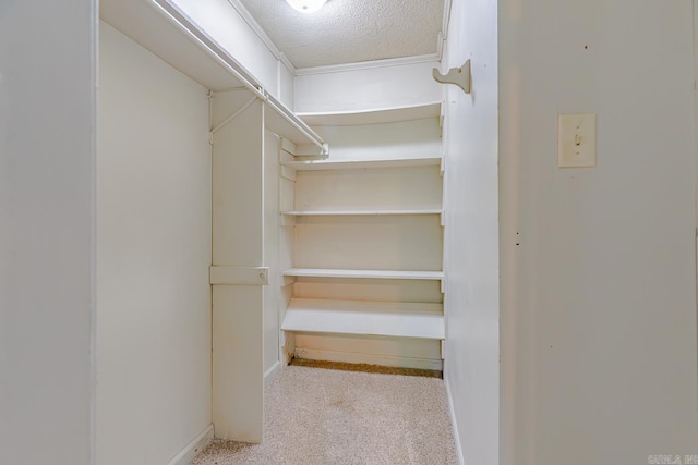 1304 Dupwe Dr, Jonesboro, AR 72401 - spacious closet with carpet