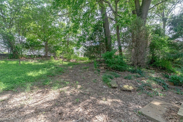 1304 Dupwe Dr, Jonesboro, AR 72401 - view of yard