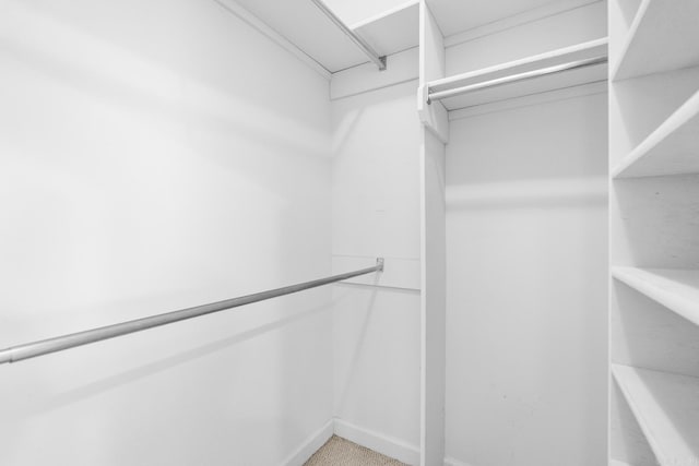 2219 Westport Loop, Little Rock, AR 72212 - view of walk in closet