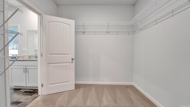 3416 Hank Dr, Jonesboro, AR 72404 - walk in closet with carpet flooring