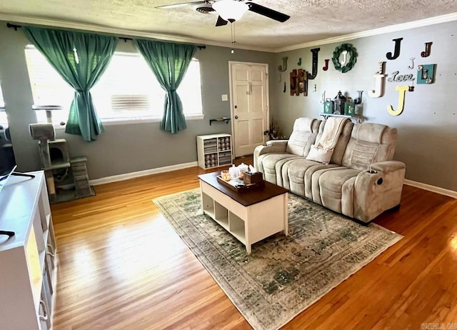 6312 Sandy Ln, Little Rock, AR 72204 - living room with a ceiling fan, ornamental molding, a textured ceiling, and light wood finished floors