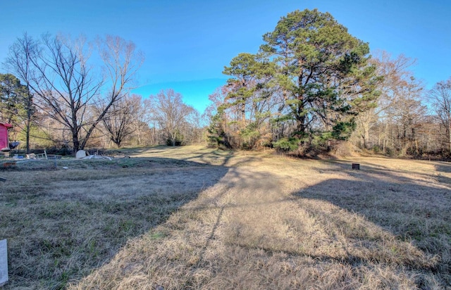 9425 S 365th Hwy, Little Rock, AR 72206 - view of yard