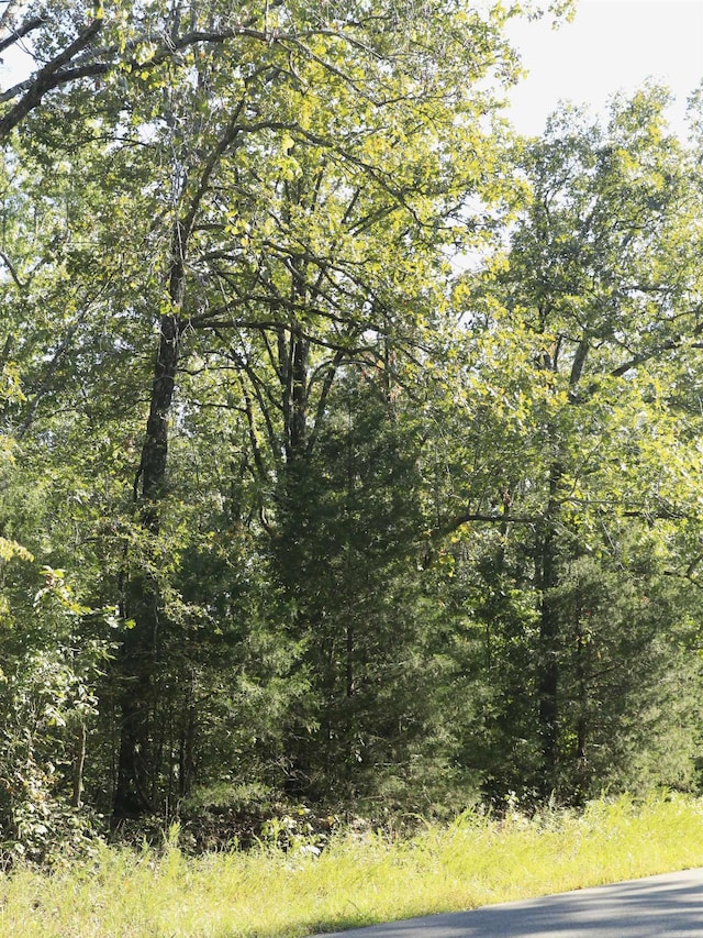 208 N Little Rock Rd, Horseshoe Bend, AR 72512