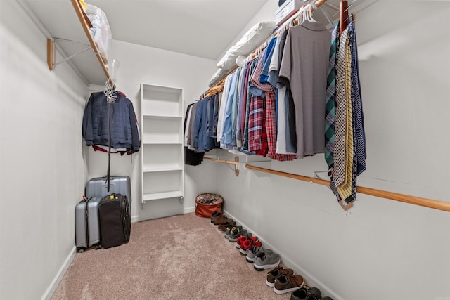 109 Sandstone Cv, Sherwood, AR 72120 - walk in closet featuring carpet