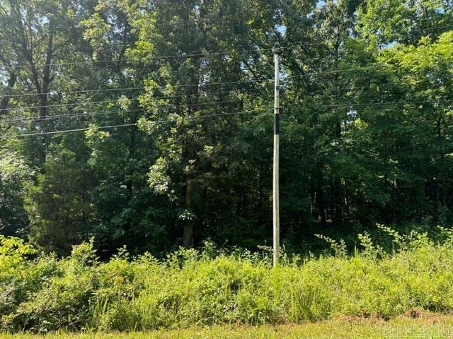 TBD Springview Rd, Pocahontas, AR 72455