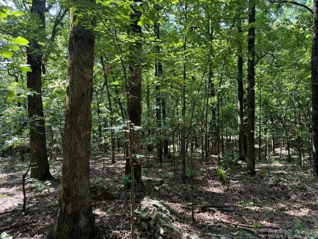 TBD Springview Rd, Pocahontas, AR 72455