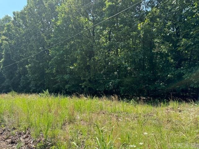 TBD Springview Rd, Pocahontas, AR 72455