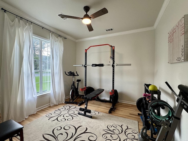 4202 Stephanie, Jonesboro, AR 72401 - exercise area with ornamental molding, ceiling fan, and light wood-style floors
