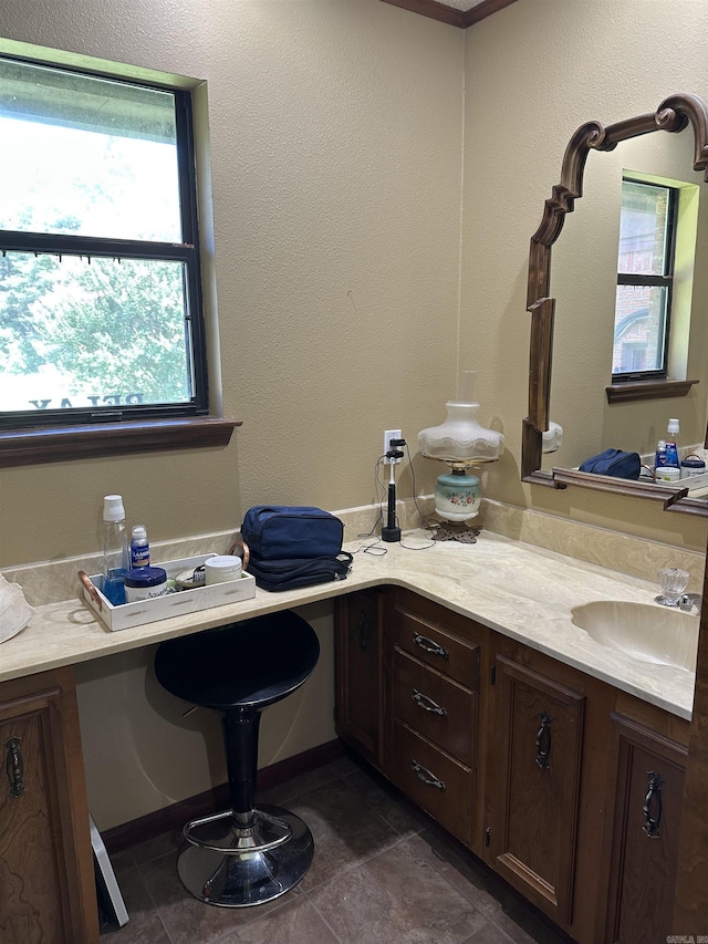14400 Pikewood Dr, Alexander, AR 72002 - bathroom with vanity, healthy amount of natural light, and stone finish flooring