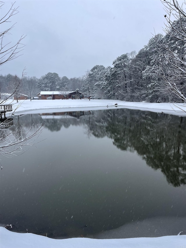 14400 Pikewood Dr, Alexander, AR 72002 - water view