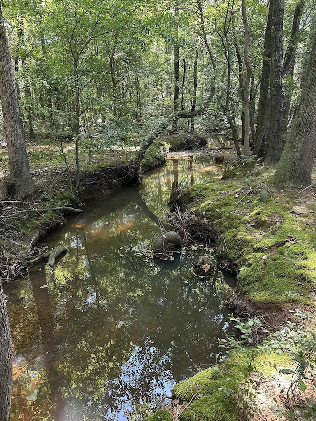 14400 Pikewood Dr, Alexander, AR 72002 - view of local wilderness