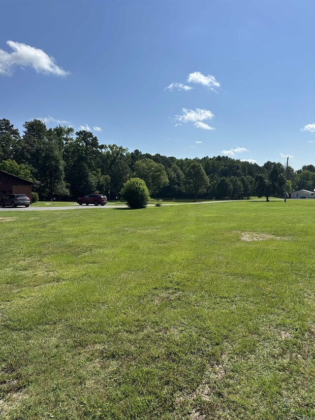 14400 Pikewood Dr, Alexander, AR 72002 - view of green lawn