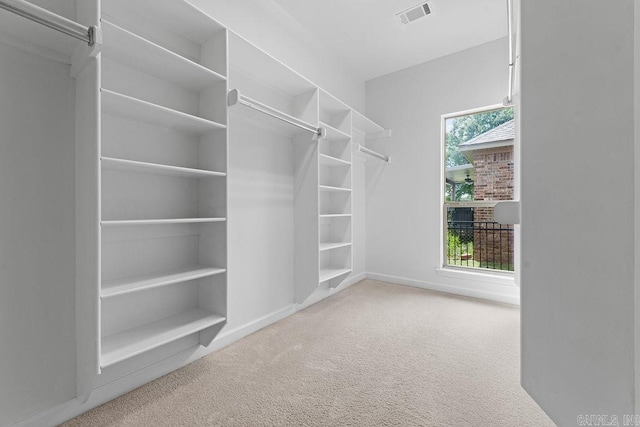 6733 Austin Bay Ct, Sherwood, AR 72120 - walk in closet featuring carpet