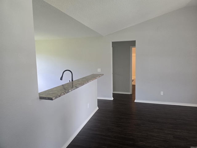 kitchen featuring vaulted ceiling and dark wood finished floors