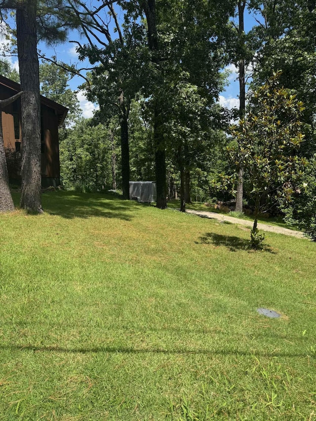 view of green lawn