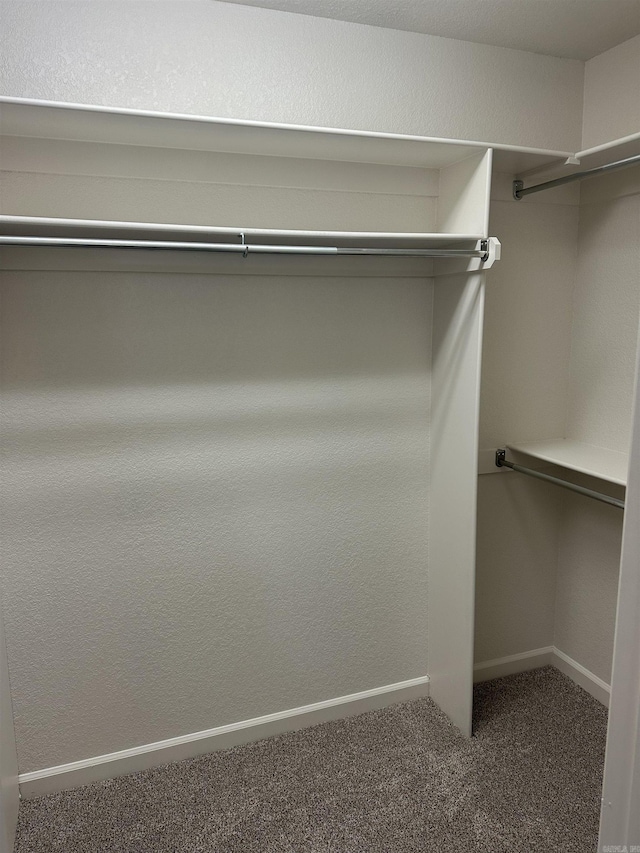 3505 Stockton Dr, Benton, AR 72015 - walk in closet featuring carpet