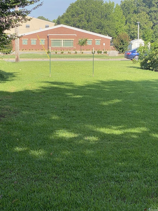 view of grassy yard