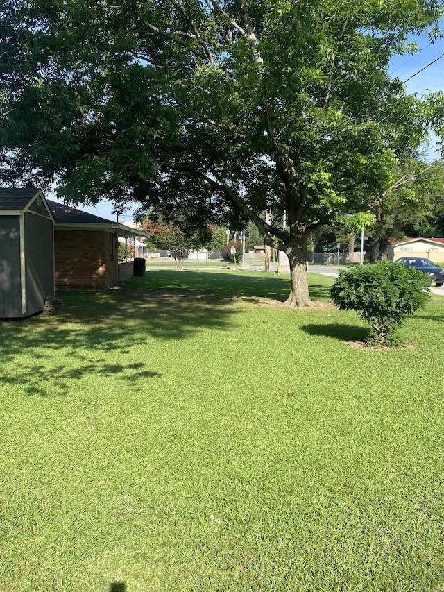 view of grassy yard featuring a shed