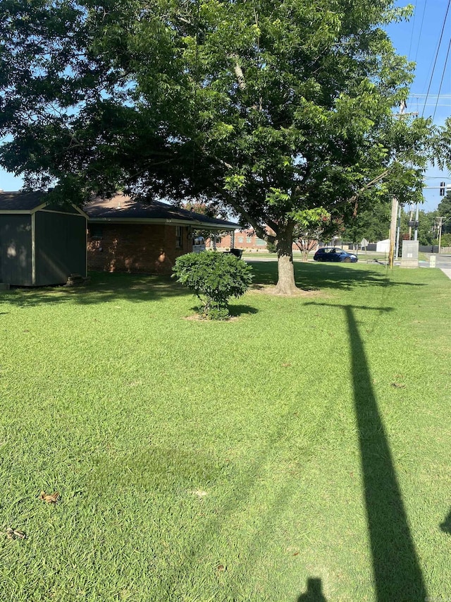 view of green lawn with a storage unit