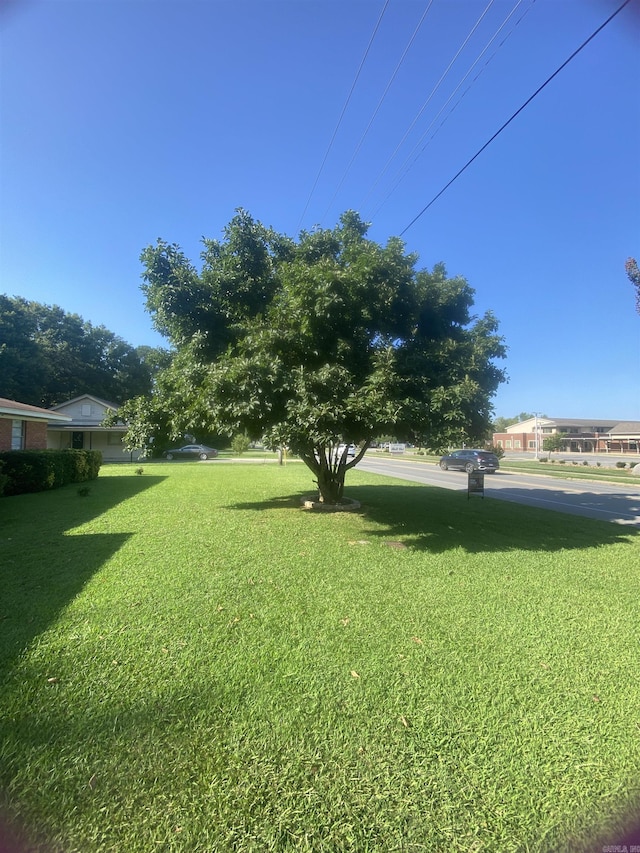 view of green lawn
