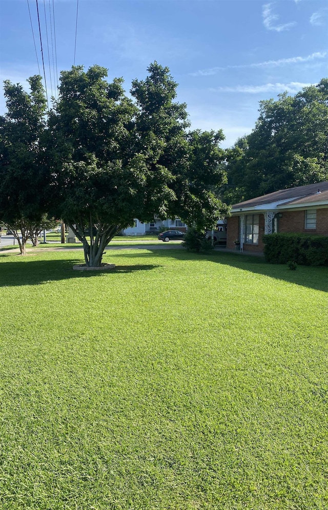 view of grassy yard
