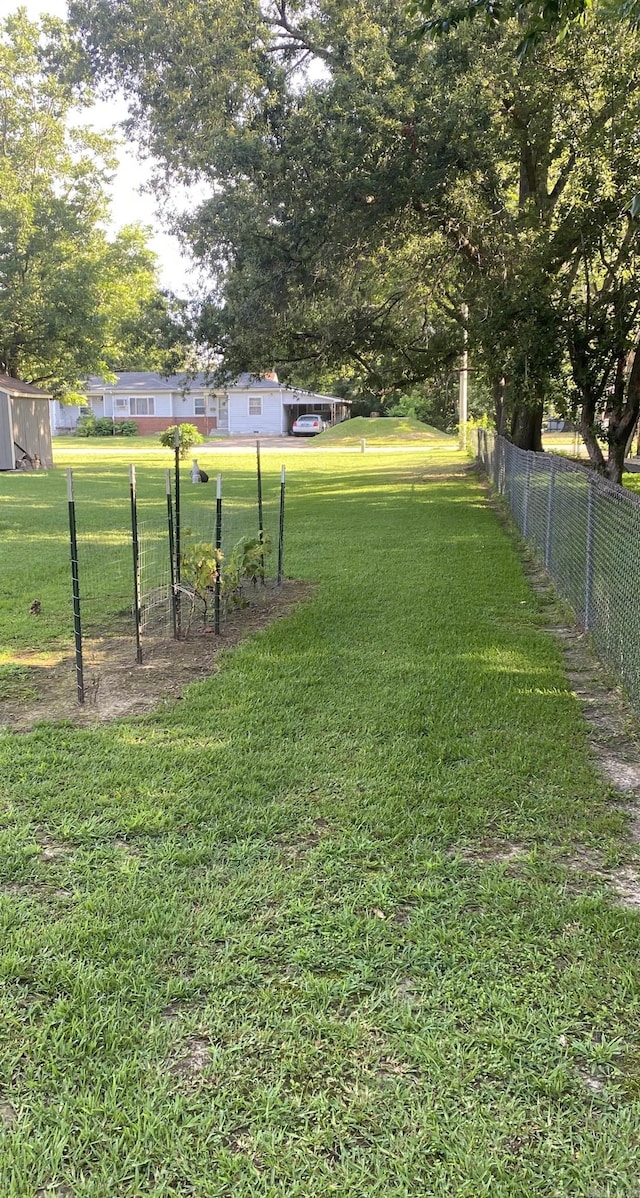 view of yard