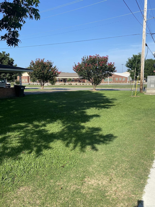 view of green lawn