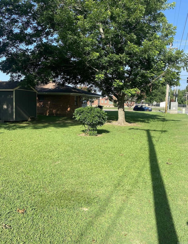 view of green lawn with a storage shed