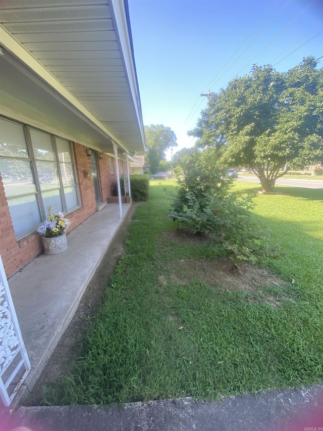 view of green lawn