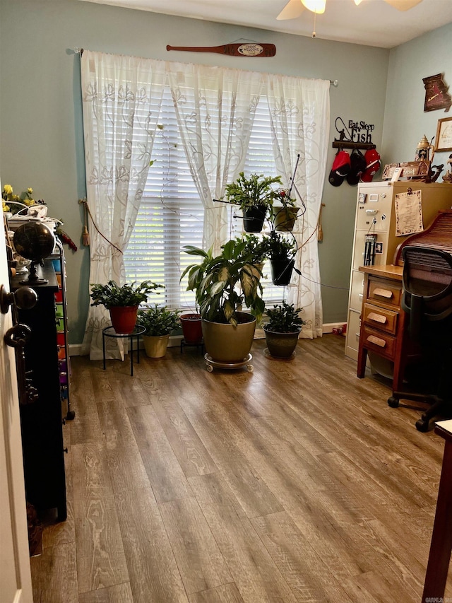 office with ceiling fan and wood finished floors