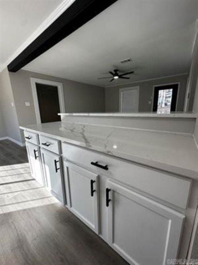 9701 Woodland Dr, Mabelvale, AR 72103 - bathroom with wood finished floors, a ceiling fan, and vanity