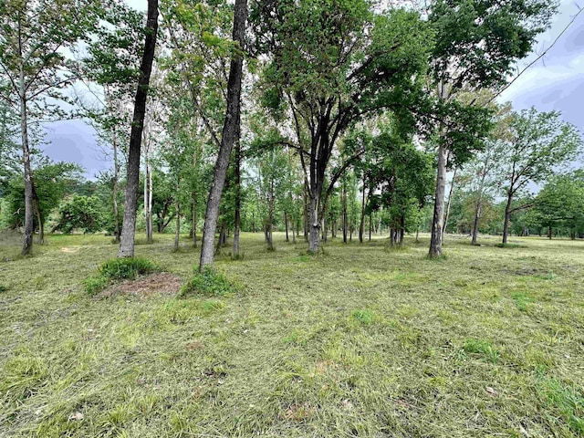 LOT7 Apple Tree Ln, Melbourne, AR 72556