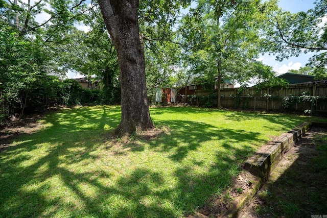 205 S Martin St, Little Rock, AR 72205 - view of yard
