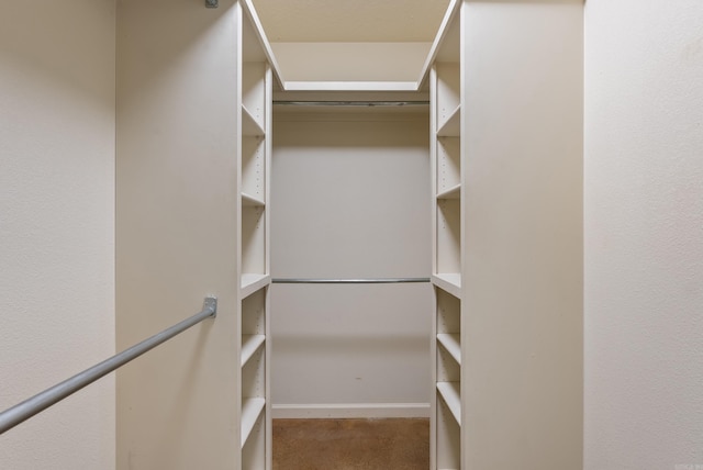 970 Wineberry, Conway, AR 72034 - view of walk in closet
