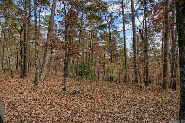 11 Acaso Ln, Hot Springs Village, AR 71909