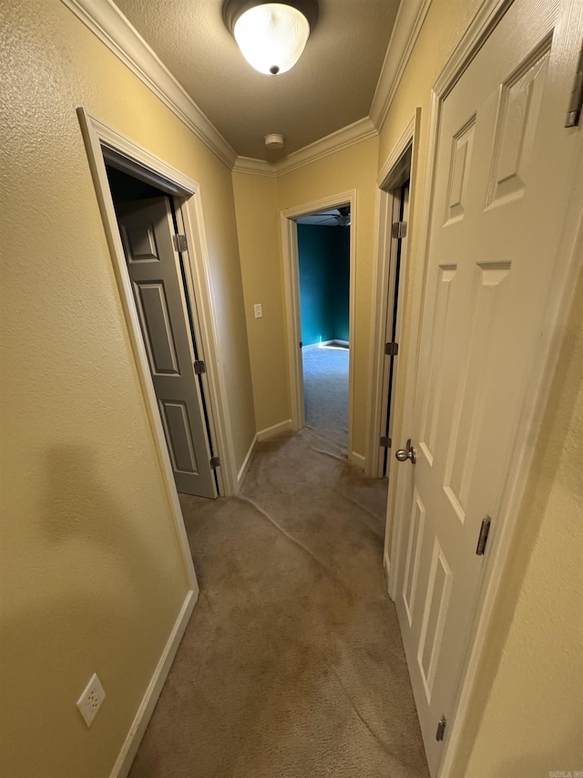 hall featuring carpet floors and ornamental molding