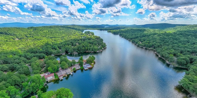 9 San Vincente Pl, Hot Springs Village, AR 71909 - bird's eye view of a forest and a water and mountain view
