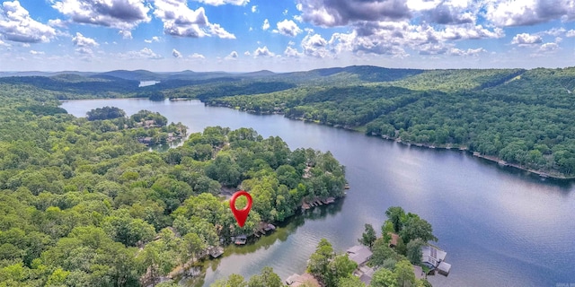 9 San Vincente Pl, Hot Springs Village, AR 71909 - bird's eye view of a forest and a water and mountain view
