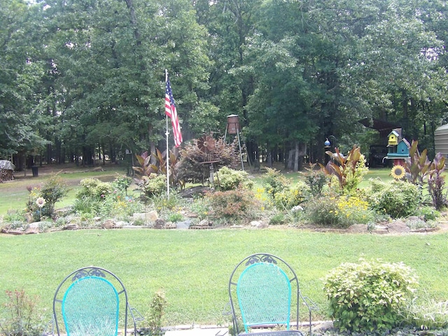 view of green lawn