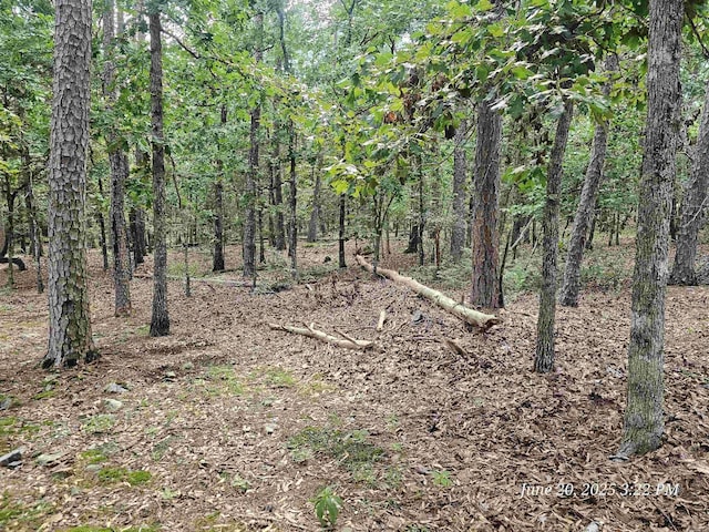 5 Justa Via Way, Hot Springs Village, AR 71909