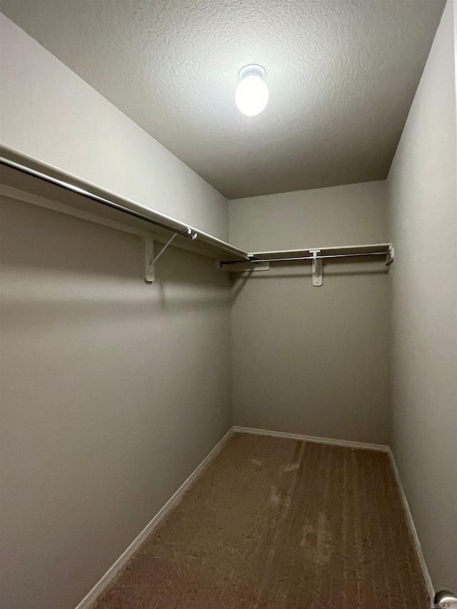walk in closet featuring carpet