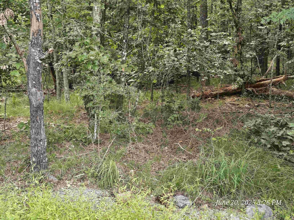 65 Justa Via Way, Hot Springs Village, AR 71909