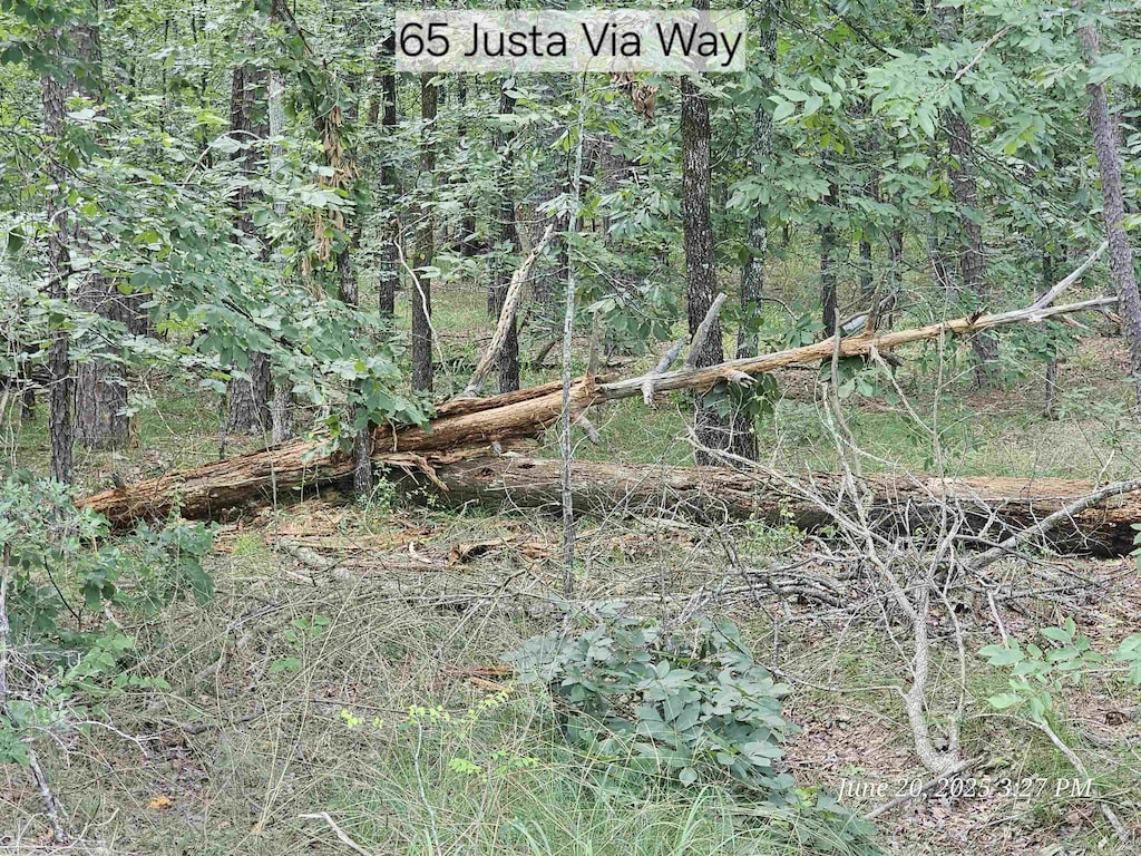 65 Justa Via Way, Hot Springs Village, AR 71909