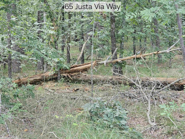 65 Justa Via Way, Hot Springs Village, AR 71909